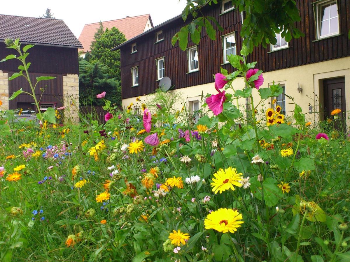 Comfy Apartment In Weissig With Garden Quarto foto